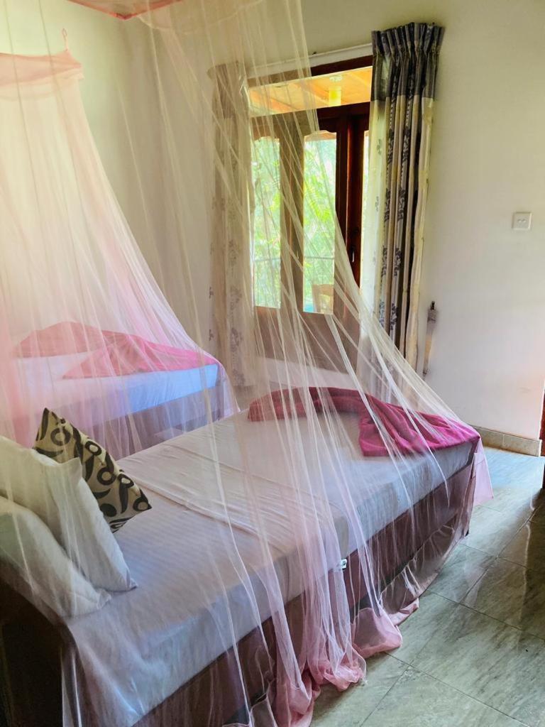 Silent Nest Panzió Ella Kültér fotó