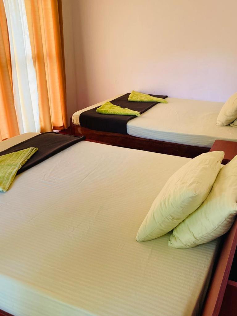 Silent Nest Panzió Ella Kültér fotó